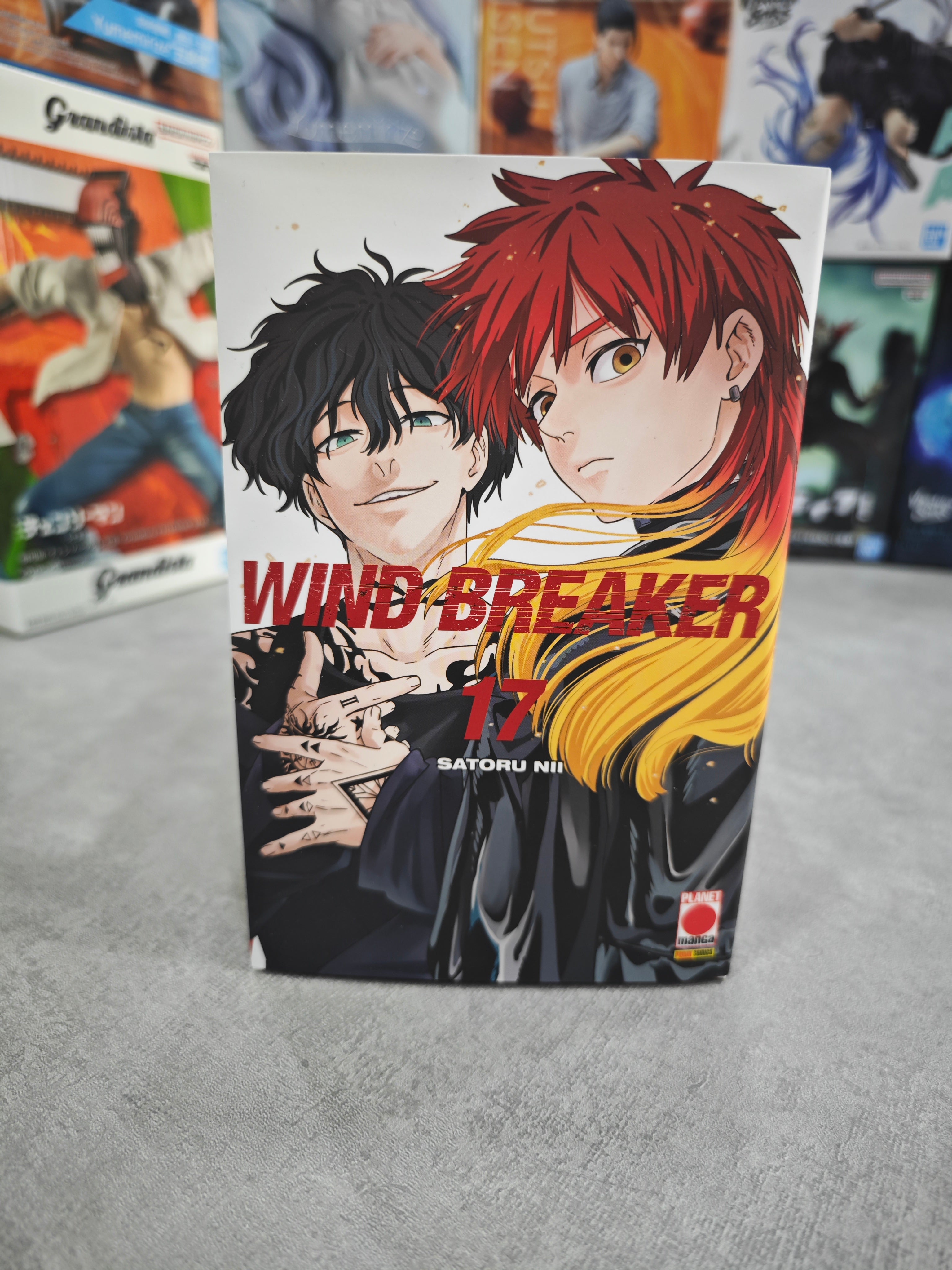 WIND BREAKER 17