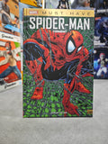 SPIDER-MAN TORMENT