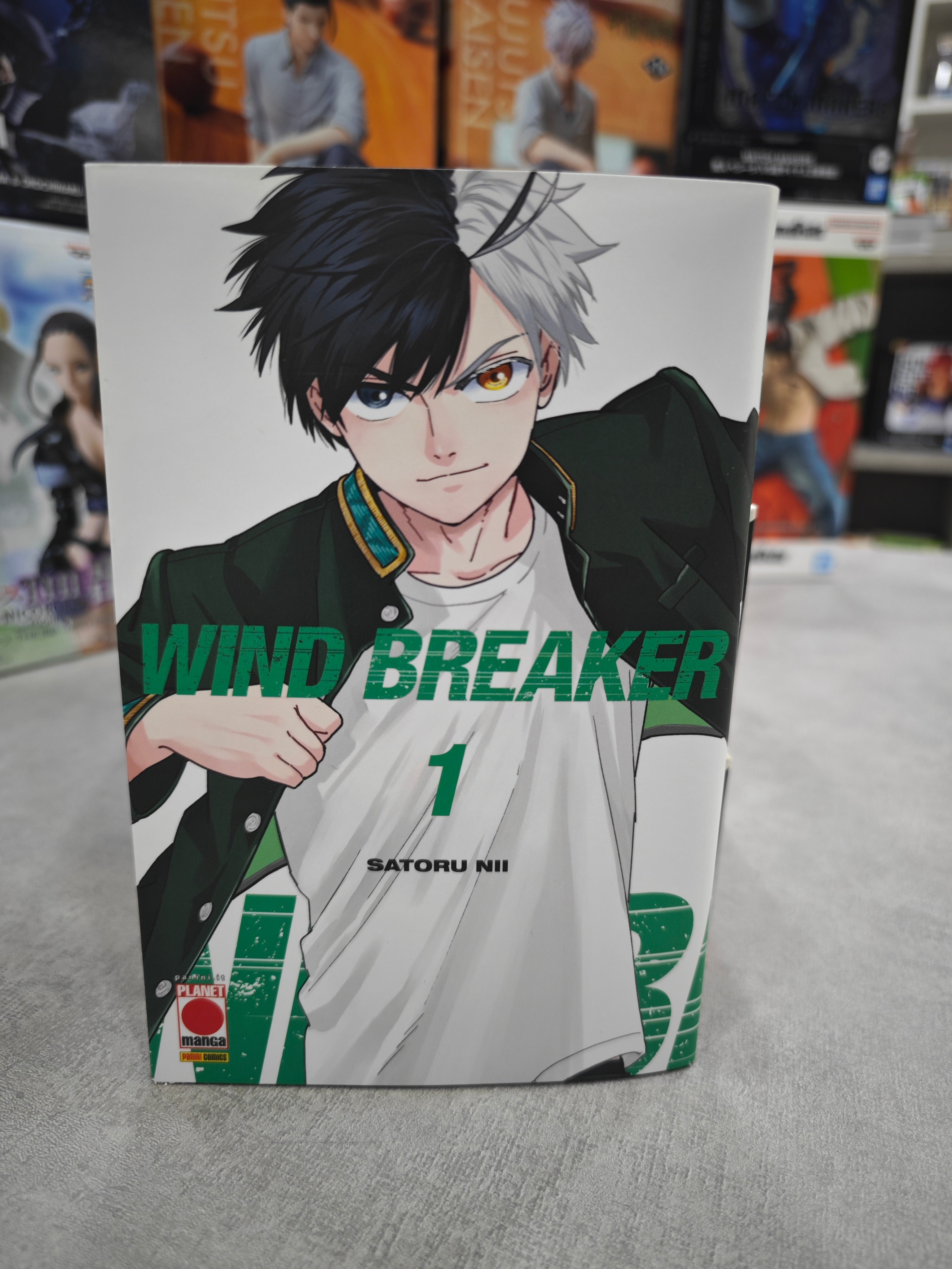 WIND BREAKER 1
