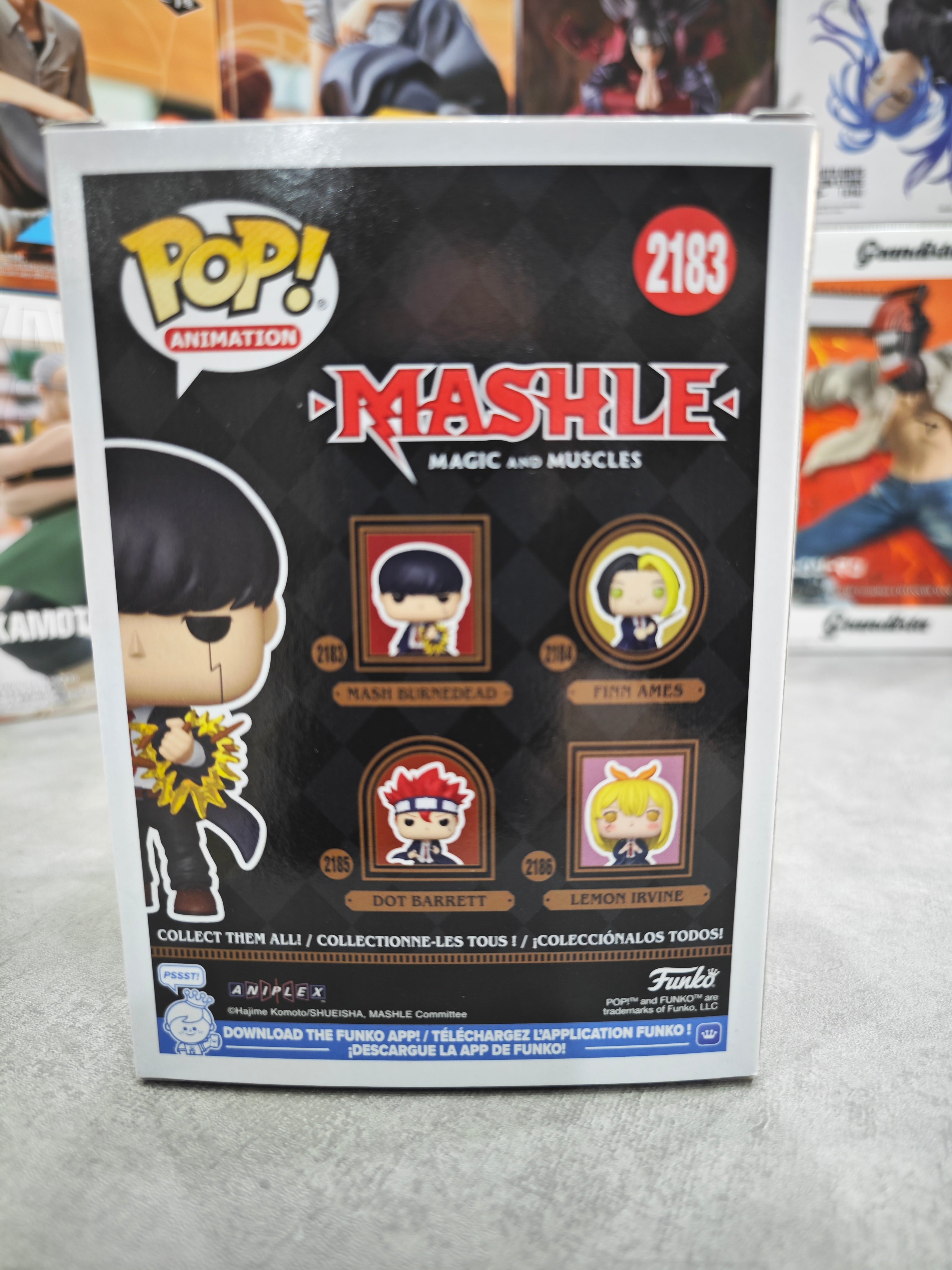 FUNKO MASH BURNEDEAD 2183